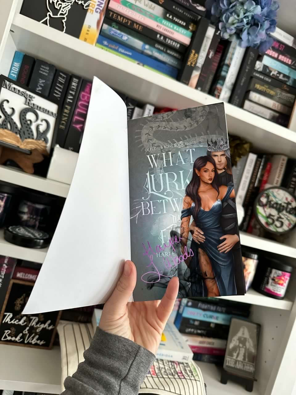 Harper L Woods - What Lies Beyond The Veil Novel Notes™ - Digitally Signed Overlay Print