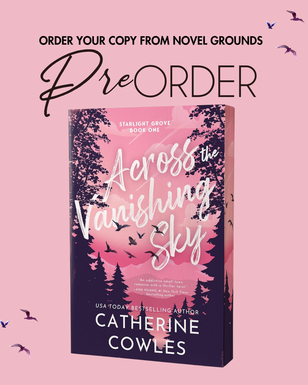 Pre-Order: Across the Vanishing Sky (Starlight Grove, 1)