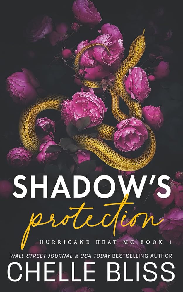 Shadow's Protection: Discreet Edition (Hurricane Heat MC) cover image