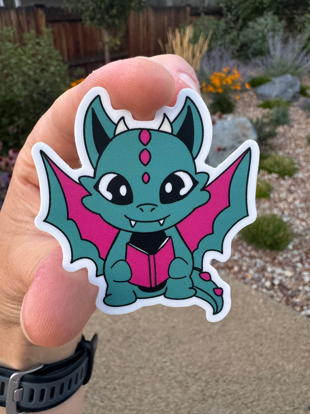 Novel Book Dragon Sticker Packs
