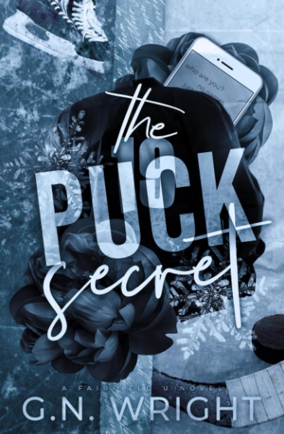 the puck secret by g n wright